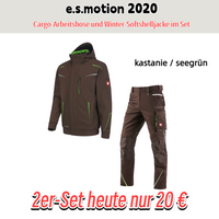 kastanie / seegrun